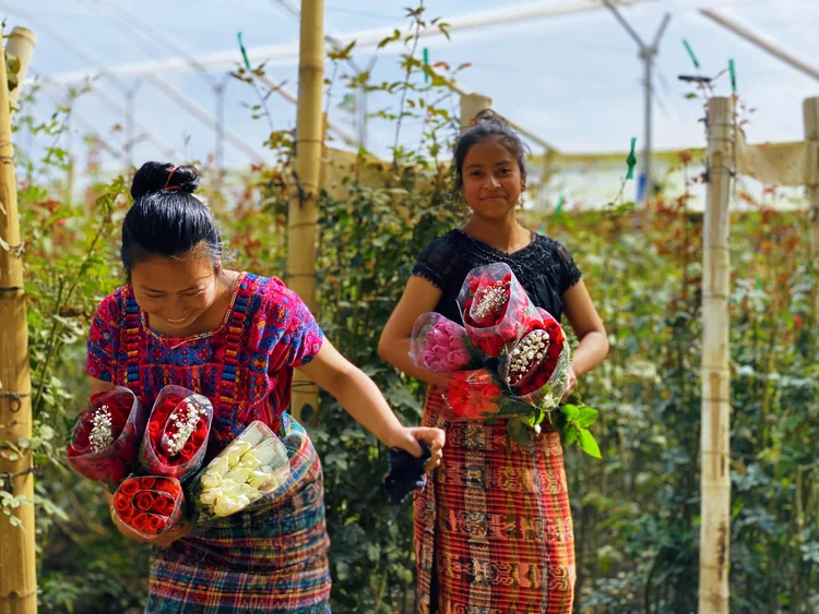 Women with bouquets inside a Primarossa greenhouse